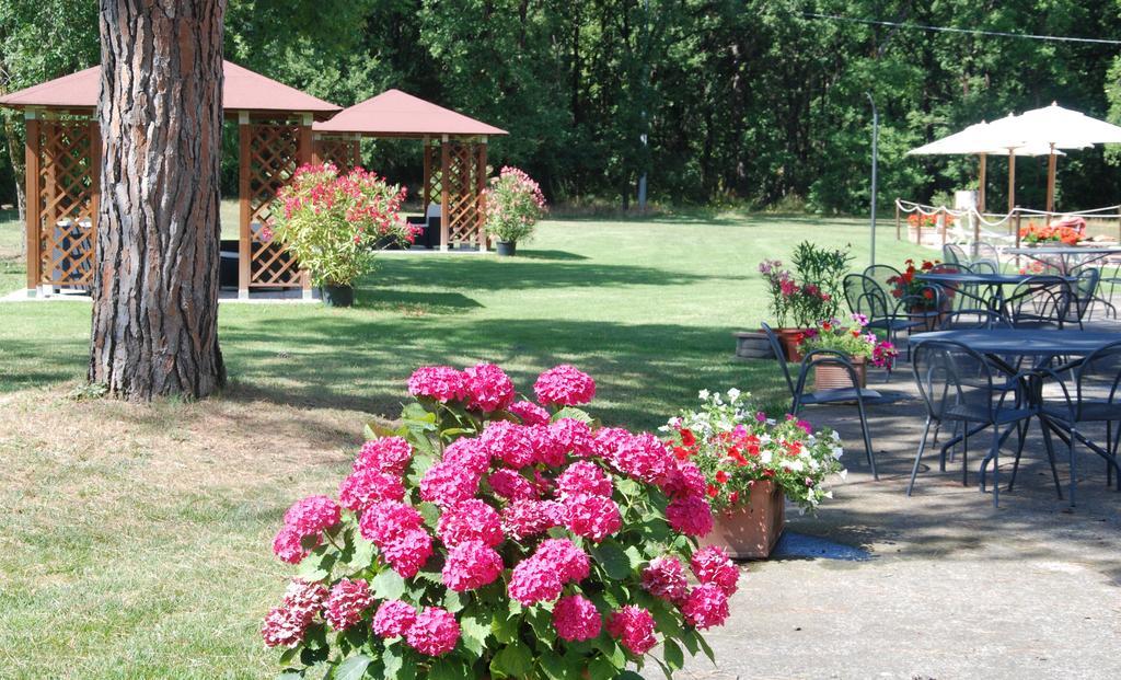 Agriturismo Antica Riserva Castiglione del Lago Buitenkant foto